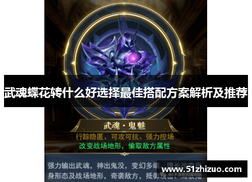 武魂蝶花转什么好选择最佳搭配方案解析及推荐