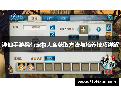 诛仙手游稀有宠物大全获取方法与培养技巧详解