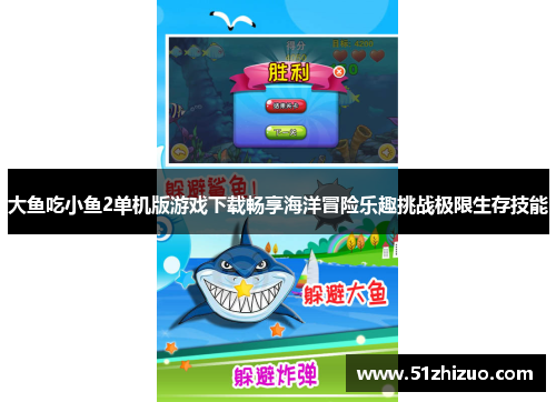 大鱼吃小鱼2单机版游戏下载畅享海洋冒险乐趣挑战极限生存技能
